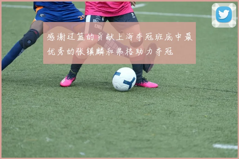 感谢辽篮的贡献上海夺冠班底中最优秀的张镇麟和弗格助力夺冠